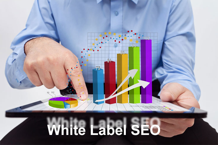 Finding a White Label SEO Reseller Program and Earning Huge Benefits